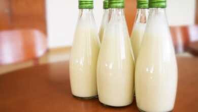 6 Tipos De Leite Sem Lactose Para Fazer Em Casa