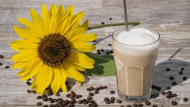 Receita De Café Gelado Fácil E Rápido